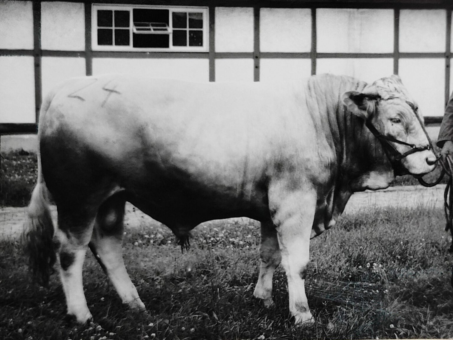 Stierstall Heimatverein Eisental e.V.