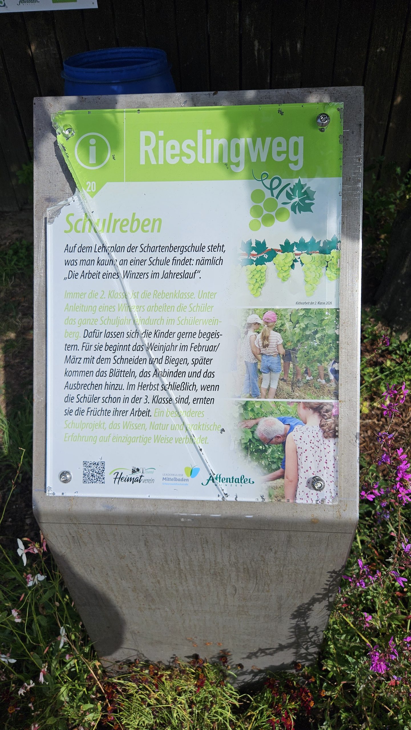 Vandalismus am Rieslingweg